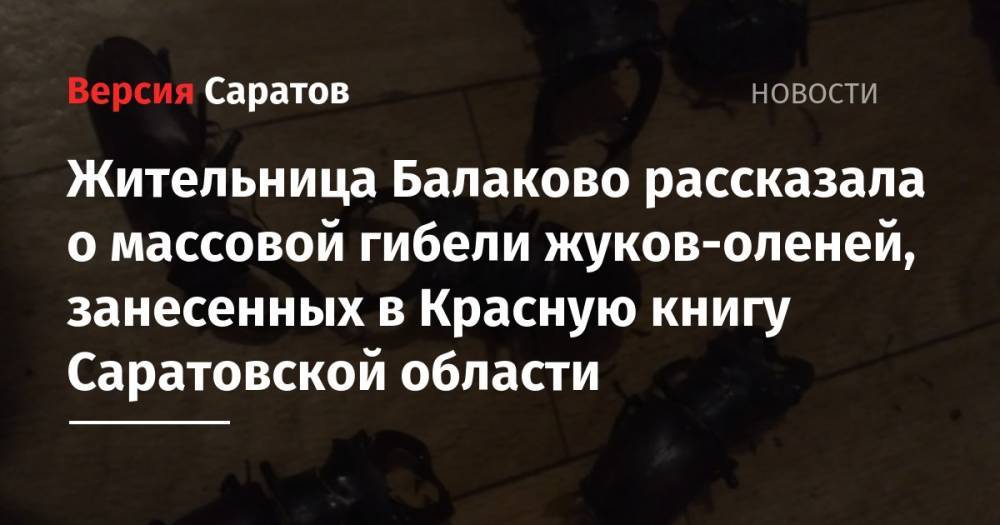 Жительница Балаково рассказала о массовой гибели жуков-оленей, занесенных в Красную книгу Саратовской области