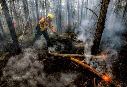 Бурматов допустил причастность к пожарам в Сибири черных лесорубов
