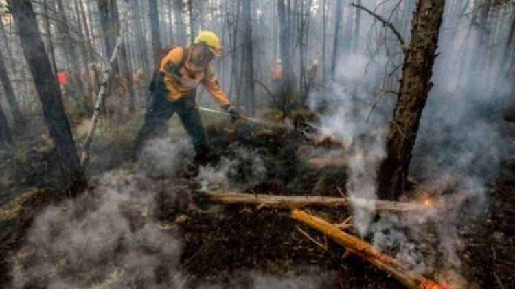 Медведев призвал губернаторов взять под контроль ситуацию с лесными пожарами
