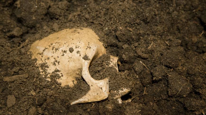 Под Нижним Новгородом в стене церковной лавки нашли замурованную мумию