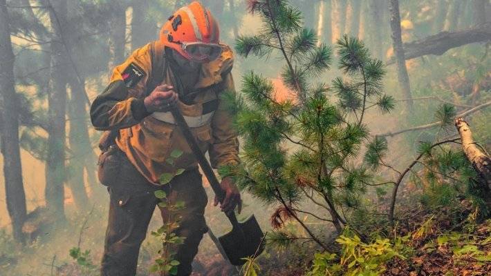 Сенатор Клишас посоветовал жителям Красноярского края переждать лесные пожары