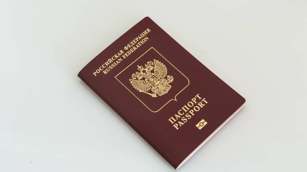 Чиновников Украины поймали на "паспортных" фейках: В ДНР рассказали, как Киев сбивает людей с толку