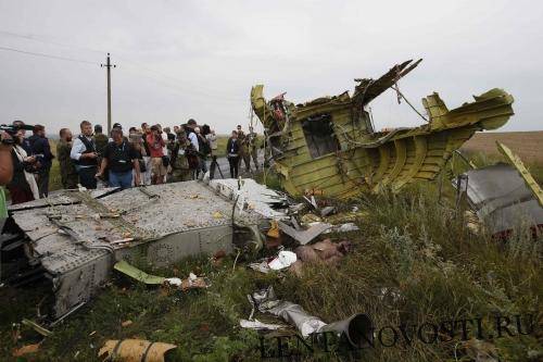 Нидерланды отказались принять данные немецкого детектива по крушению MH17