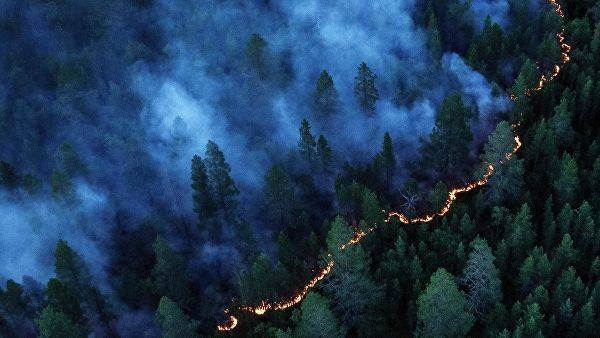 В четырех регионах ввели режим ЧС из-за лесных пожаров — Информационное Агентство "365 дней"