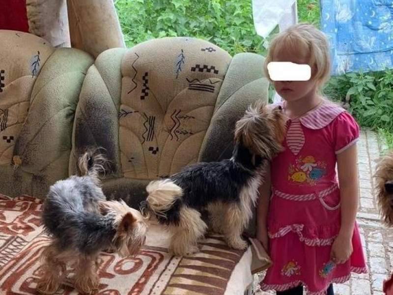 Шестилетнюю девочку в Саратове забрали из дома-питомника с 25 собаками