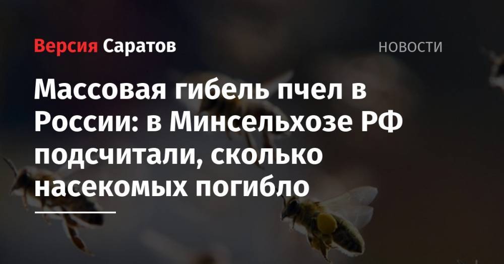 Массовая гибель пчел в России: в Минсельхозе РФ подсчитали, сколько насекомых погибло