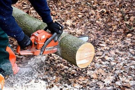 Почти 1,7 млн кубометров древесины заготовили в Нижегородской области