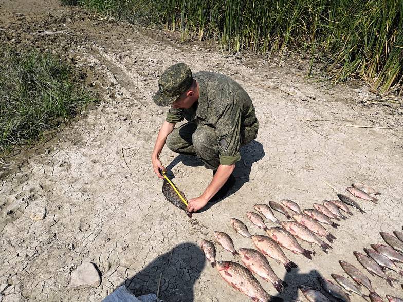 Дорогой улов: в Ростовской области задержали предполагаемого браконьера