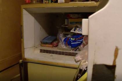 Женщина 37 лет хранила в холодильнике мертвого младенца