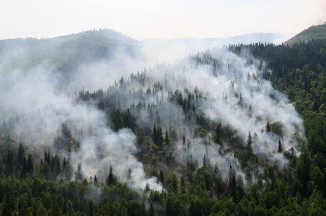 В Госдуме предложили ввести ЧС федерального уровня из-за пожаров в Сибири