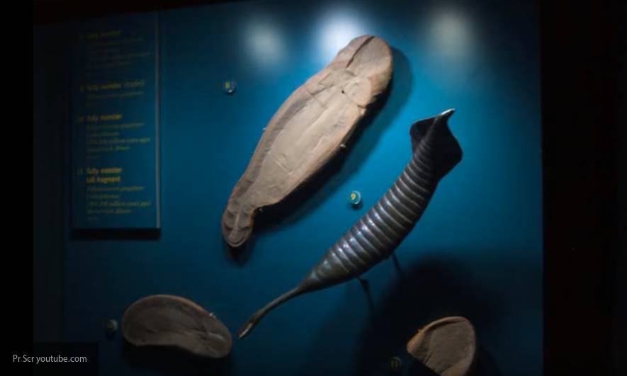 Палеонтологи обнаружили останки древнего  «Ктулху» в Канаде