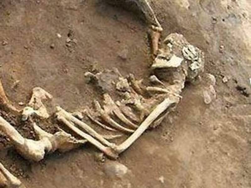 Загадочный скелет в подтяжках вынесло на пляж под Калининградом