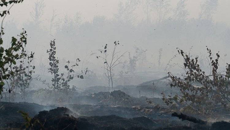 Минздрав дал рекомендации, как уберечься от дыма лесных пожаров