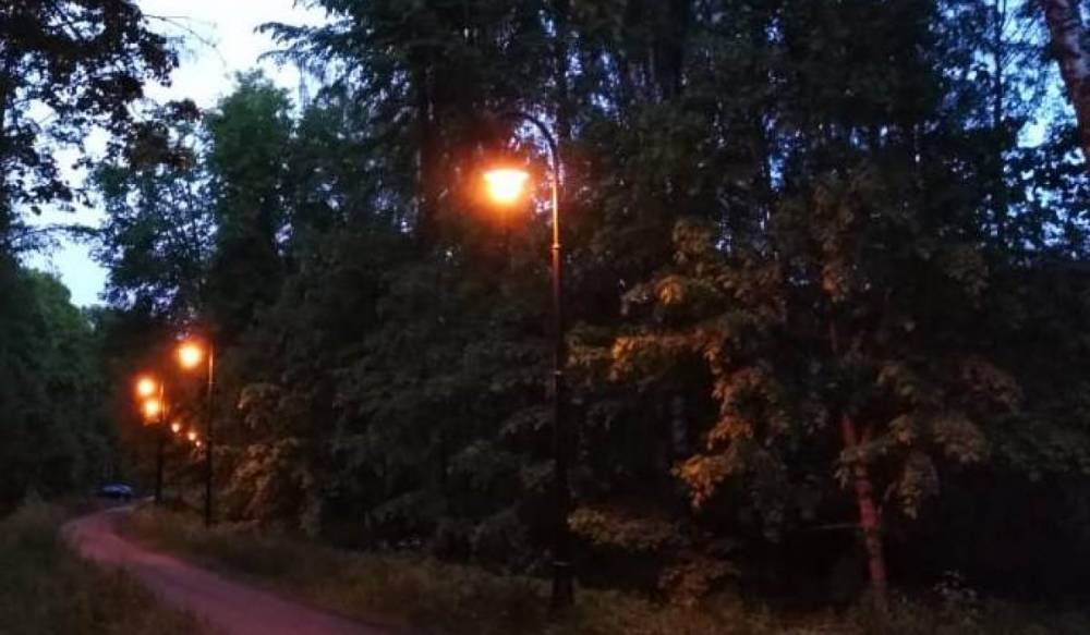 «Ленсвет» восстановил освещение Нижней дороги в Петергофе