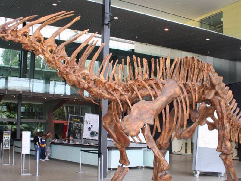 Останки редкого динозавра нашли в Кузбассе