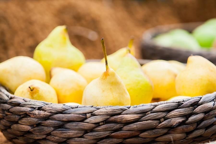 Россия приостановит ввоз груш и персиков из Китая