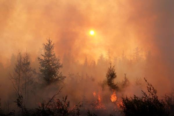 Глава Якутии взял под личный контроль лесные пожары в республике