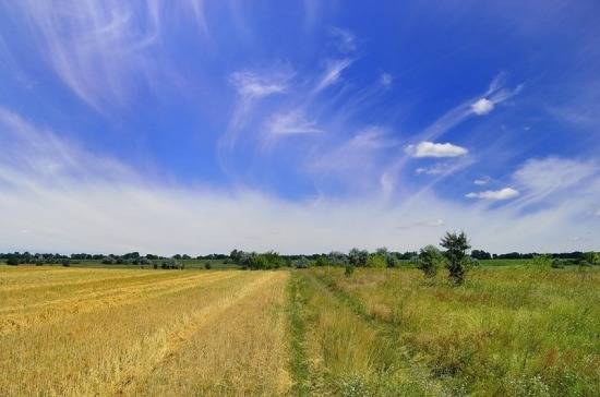 Политолог оценил вероятность отмены моратория на продажу земли на Украине