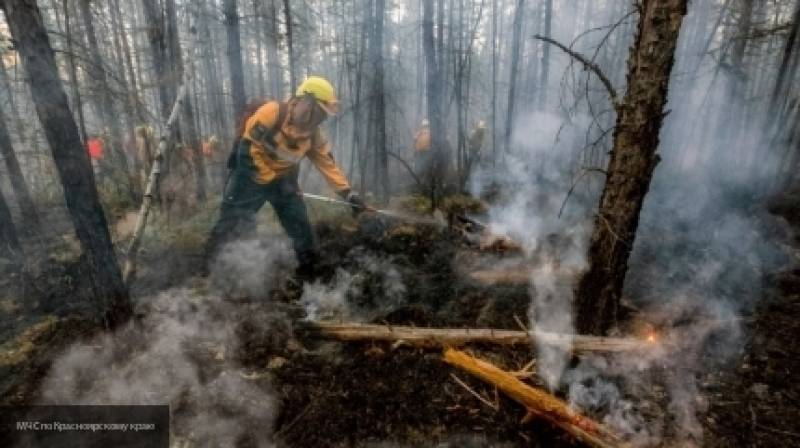 Создание авиагруппировки для тушения пожаров в Сибири хотят завершить к 6 утра 1 августа