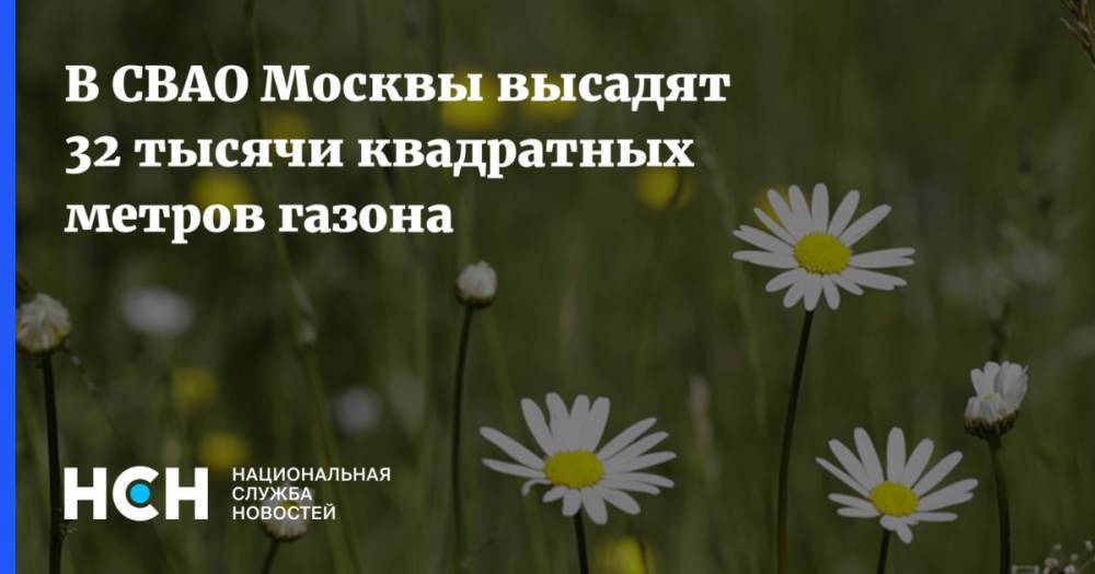 В СВАО Москвы высадят 32 тысячи квадратных метров газона