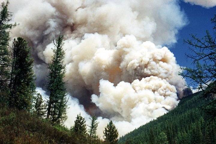 Роспотребнадзор: Содержание в воздухе вредных веществ от лесных пожаров некритично