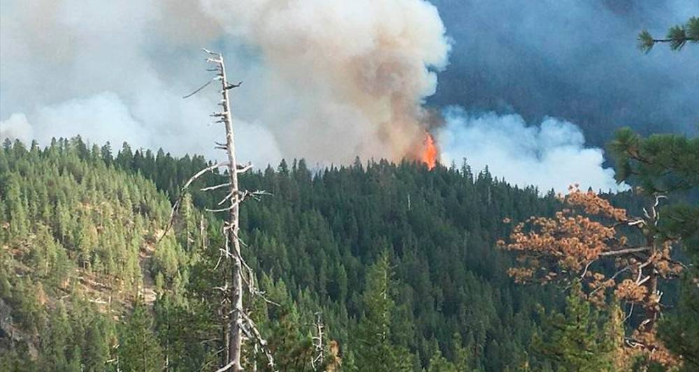 Самолеты Минобороны перебросят в районы лесных пожаров к утру четверга