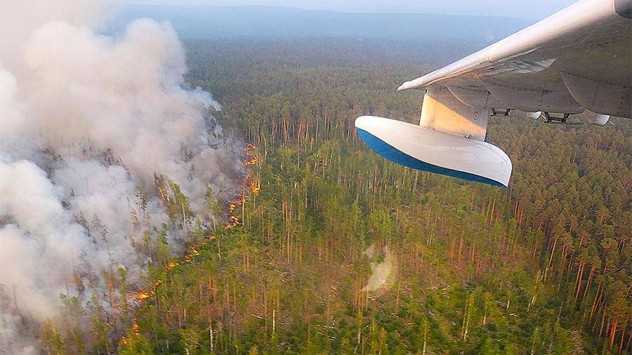 Минобороны создало оперативный штаб для устранения лесных пожаров