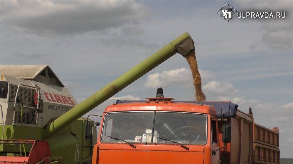 В Ульяновской области намолотили первые 100 тысяч тонн зерна