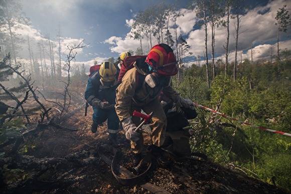 Медведев признал опасность ситуации с лесными пожарами
