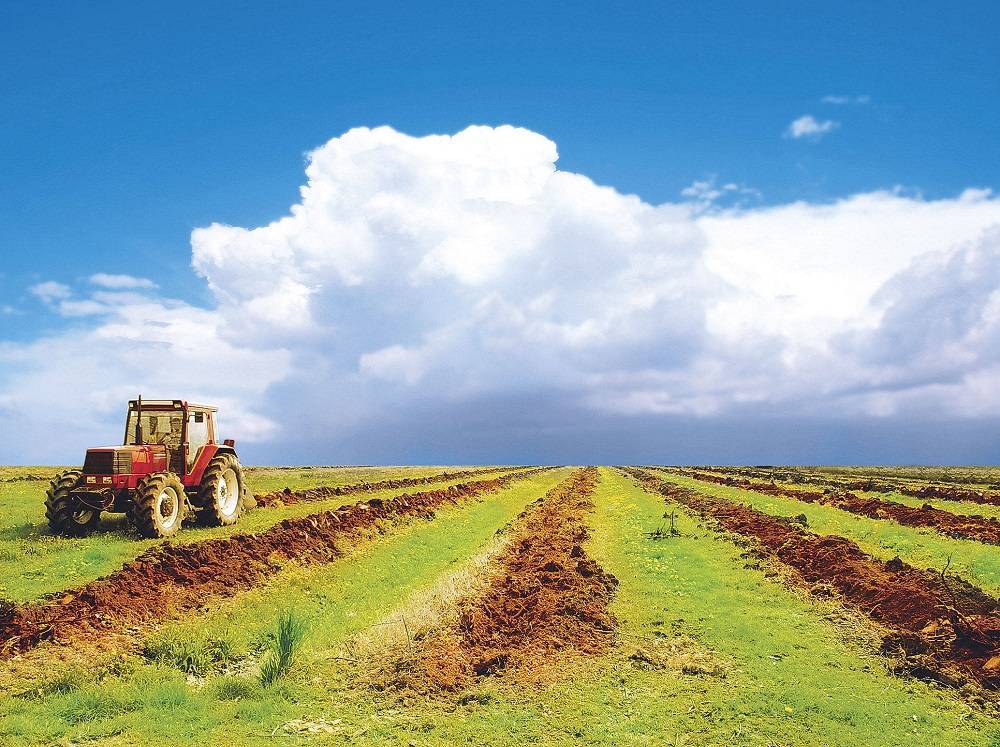 Зеленский выставит на торги сельхозземли Украины