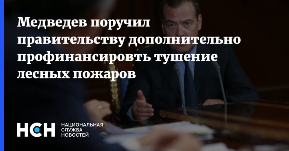Медведев поручил правительству дополнительно профинансировть тушение лесных пожаров