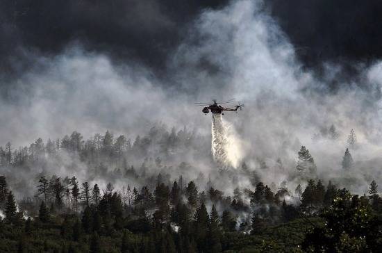 Алтайский депутат предложила тушить лесные пожары бомбами