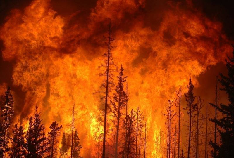 В Сибири горит 3 млн гектаров леса