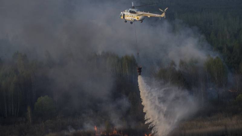 Российские леса могут запретить сдавать в аренду иностранцам