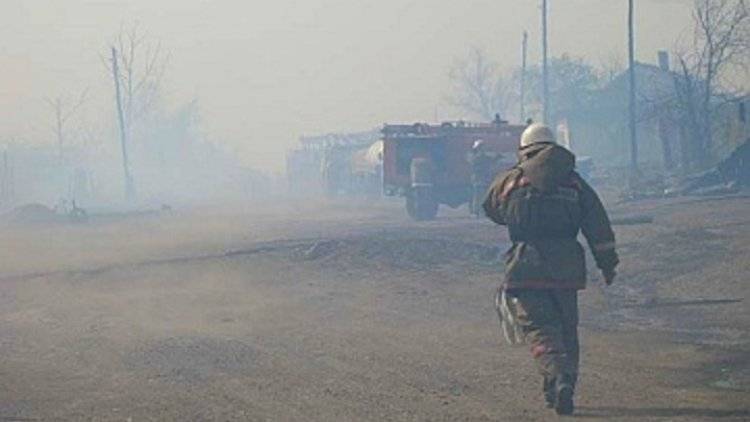 Около 800 человек тушат лесные пожары в Красноярском крае