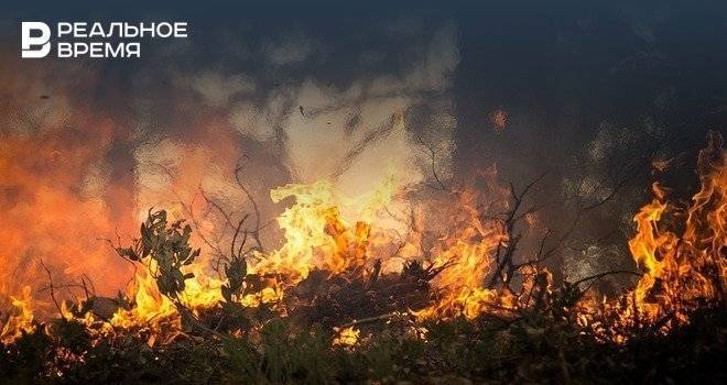 В Росгидромете посоветовали адаптироваться к лесным пожарам