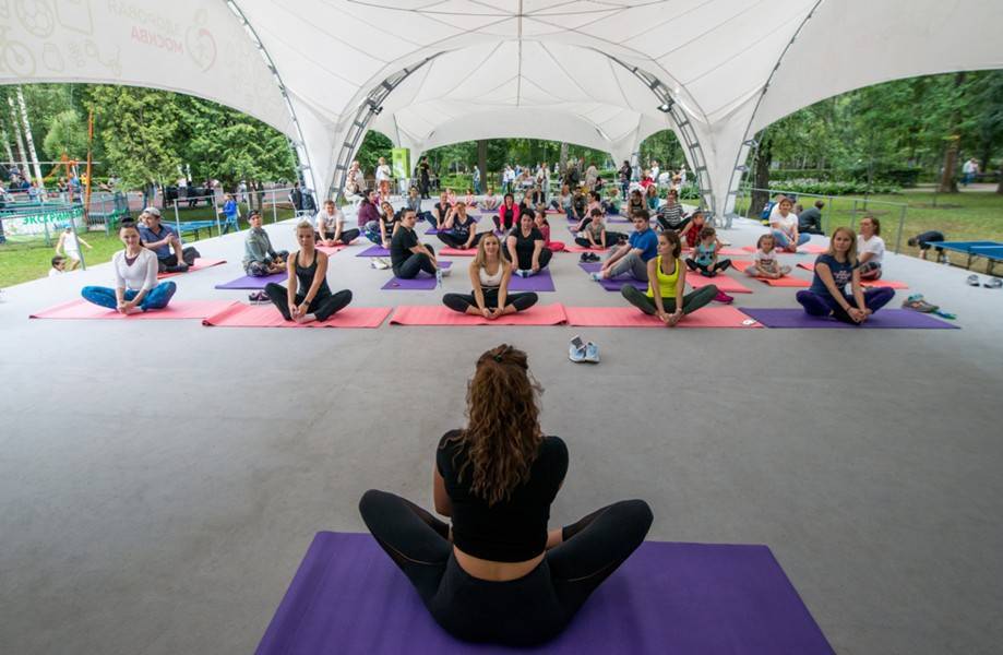 Йога, единоборства и танцы ждут москвичей в парках