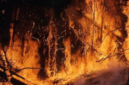 Глава Росгидромета предсказал ухудшение ситуации с лесными пожарами в стране