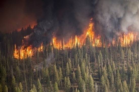 В Госдуме обсудят причины и меры профилактики лесных пожаров