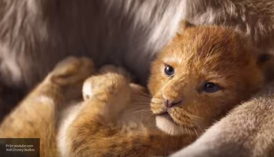 Пользователи смущены обилием темнокожих актеров в фильме «Король лев»