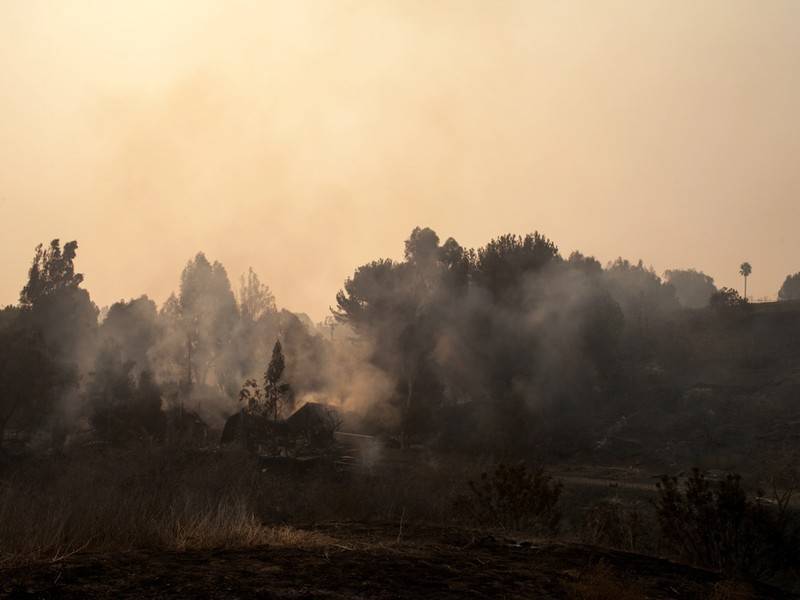 Площадь лесных пожаров в России снова растёт