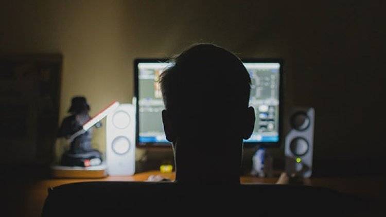 Комитет СФ законодательно закрепит понятия кибермошенничества и компьютерной атаки