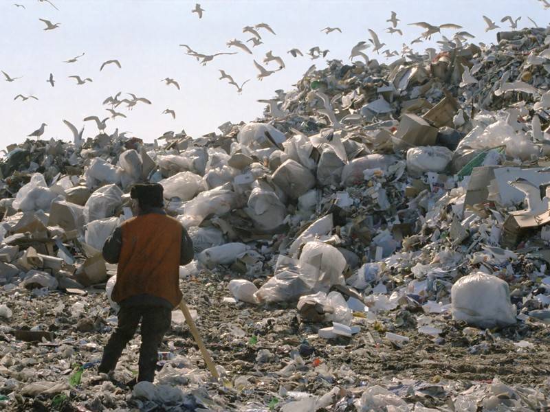 Пластик назван главным загрязнителем побережий Черного и Азовского морей