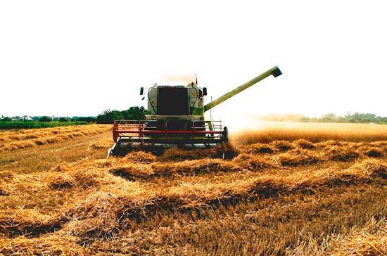 Архангельские депутаты предложили безвозмездно предоставлять землю  сельхозпроизводителям в регионе