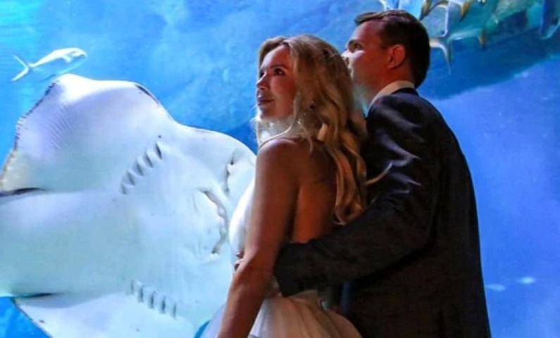 Более 850 московских пар поженились в необычных местах