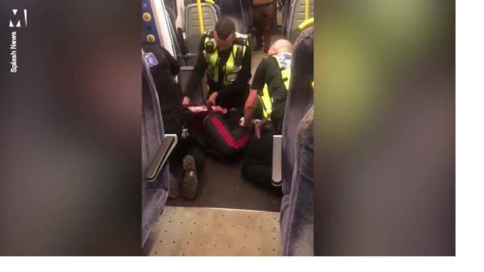 В Англии пассажиру поезда во время задержания выбили зубы за отказ показать билет