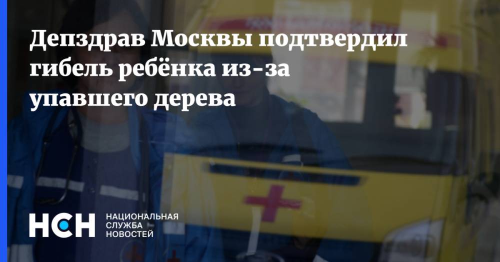 Депздрав Москвы подтвердил гибель ребёнка из-за упавшего дерева