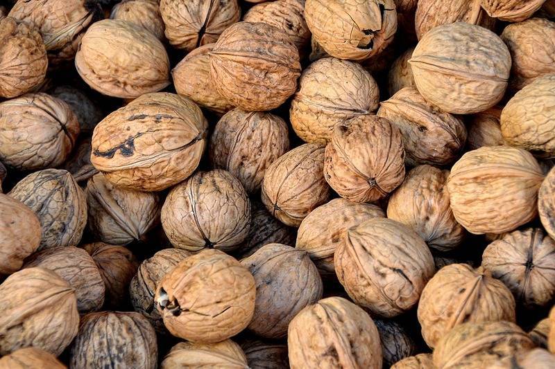 В Зауралье региональный Россельхознадзор не пропустил 22 тонны грецких орехов