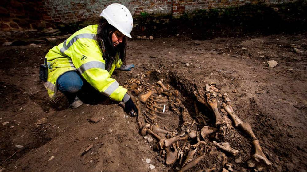 Археологи сделали открытие века: древние друиды раскрыли тайны