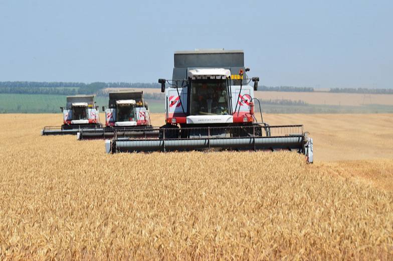 Более 3 млн тонн зерна уже убрали с донских полей